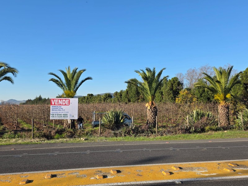Venta de Exclusivas Parcelas – Camino A los Niches, Curicó