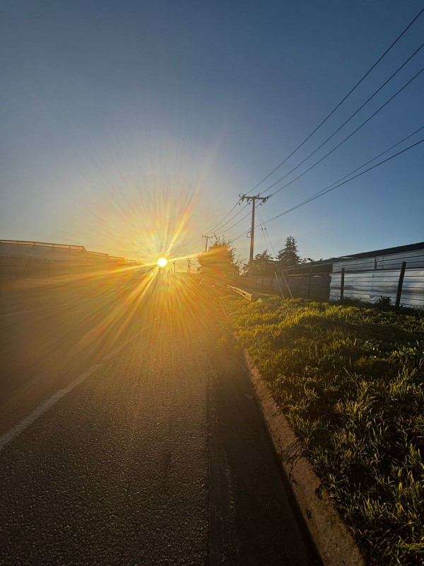 📢 Imperdible Oportunidad de Oro en Quillota🌳!