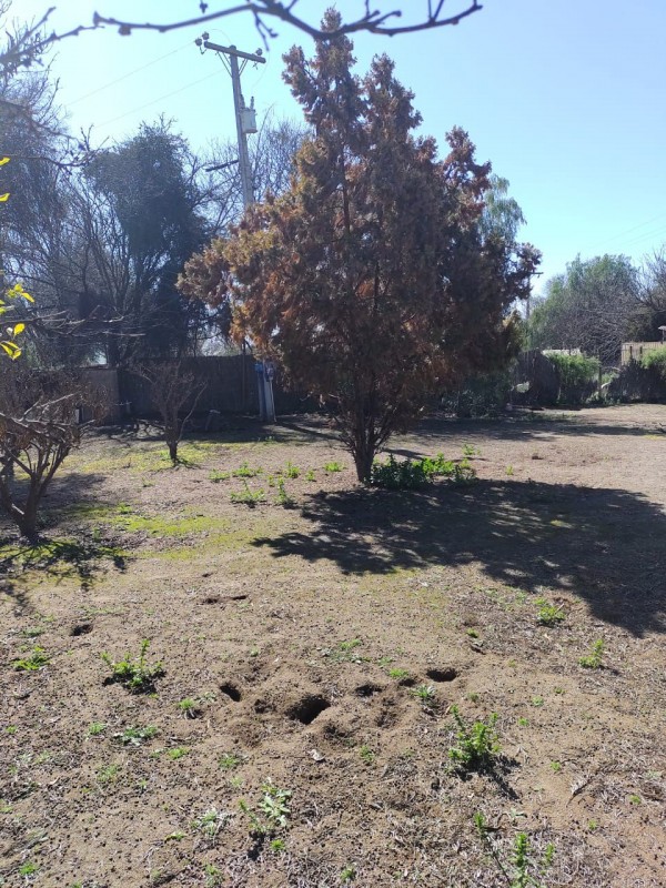 📢 Parcela Co 2 Amplias Casas, Lampa, Santiago ✨🌳!