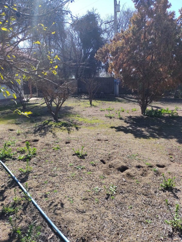 📢 Parcela Co 2 Amplias Casas, Lampa, Santiago ✨🌳!