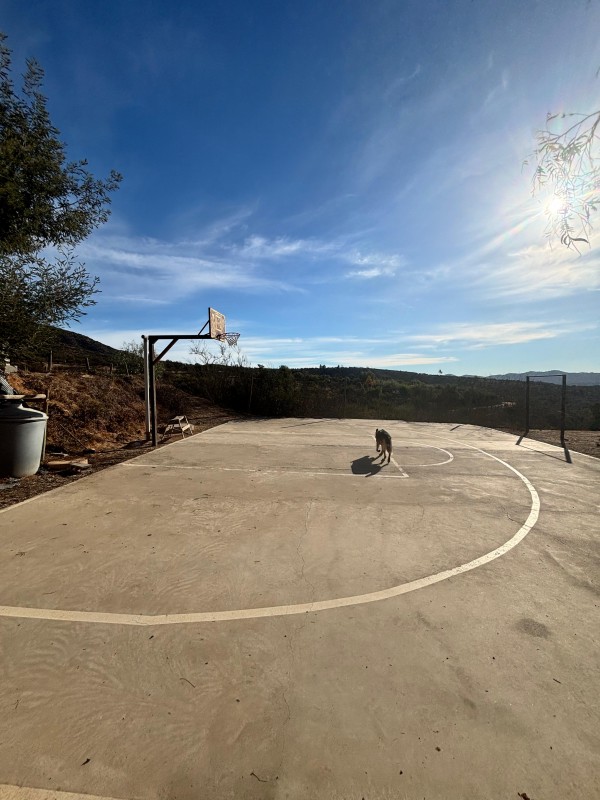 📢🌟 Parcela 5.000M2 Fundo el Rincón de Peñablanca 🏜️!