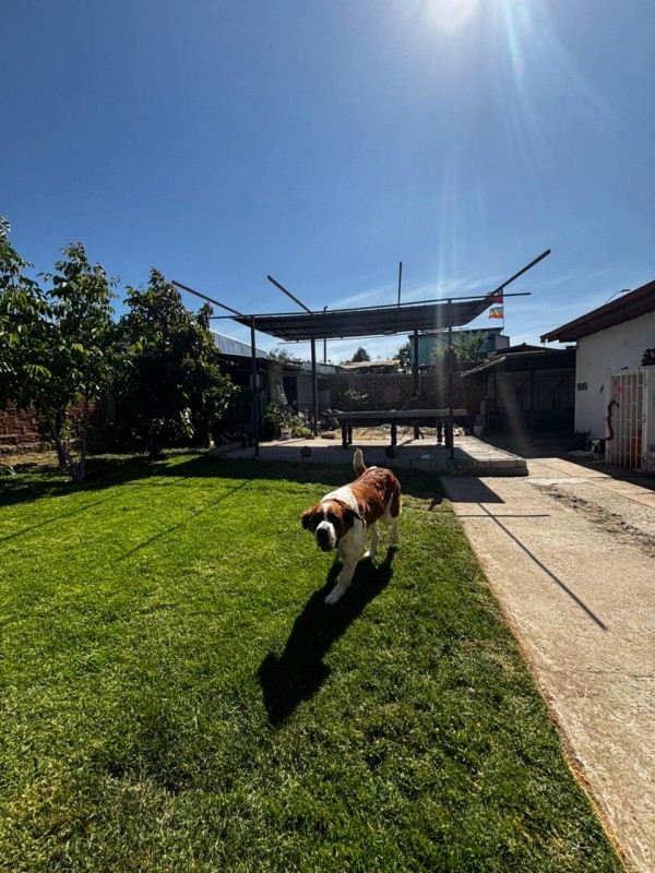 2D + 1B..360M2, Oportunidad en Villa Alemana ✨!