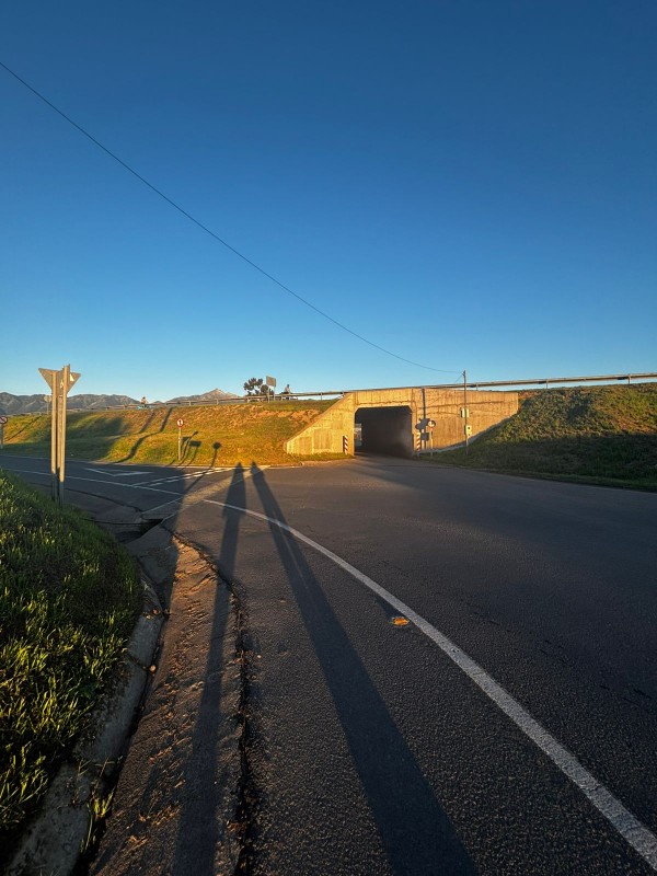 📢 Imperdible Oportunidad de Oro en Quillota🌳!