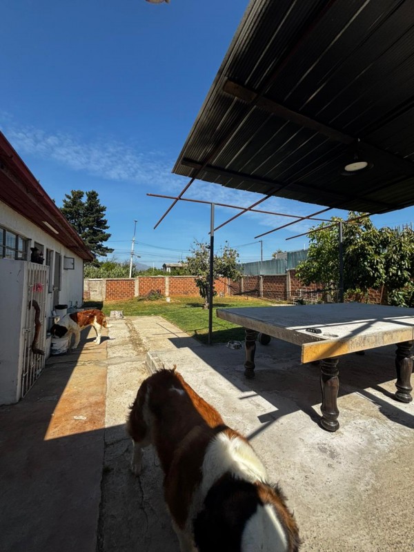 2D + 1B..360M2, Oportunidad en Villa Alemana ✨!