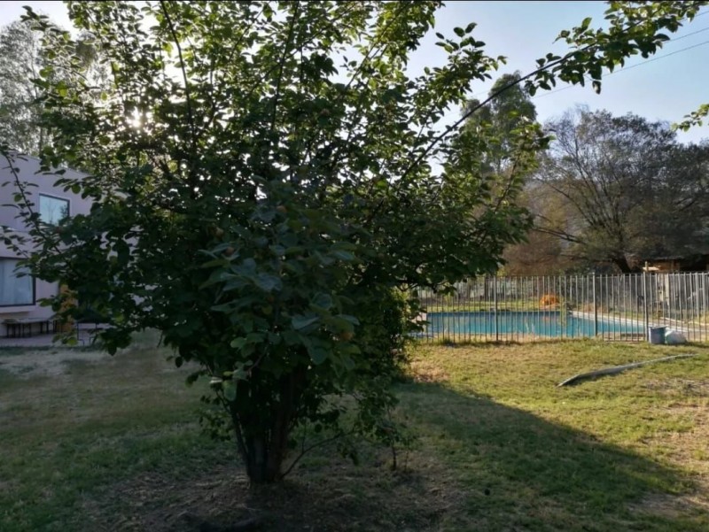 📢 Parcela Co 2 Amplias Casas, Lampa, Santiago ✨🌳!