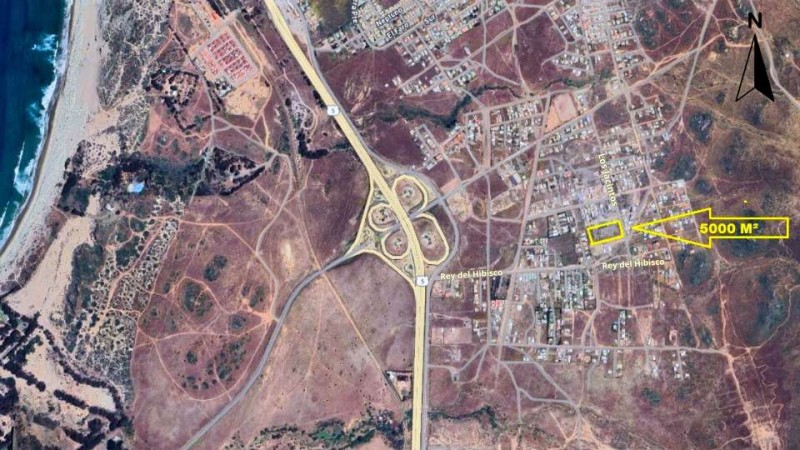 Parcela de Agrado | Pichidangui | los Vilos | 5.000 Mt² | Ro