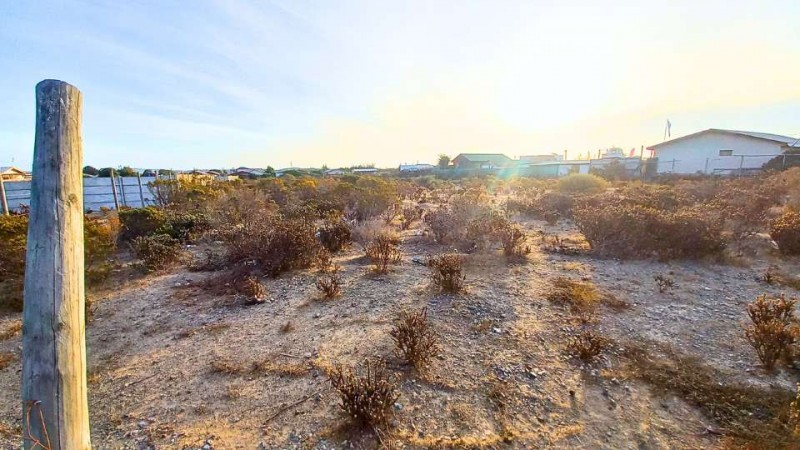 Parcela de Agrado | Pichidangui | los Vilos | 5.000 Mt² | Ro