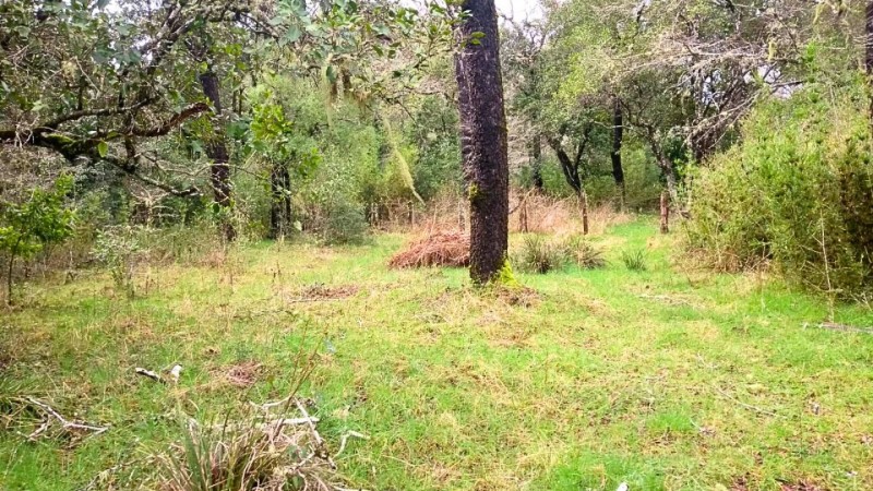 Parcela en Venta Curacautin | Turística | Rol Propio | Orill