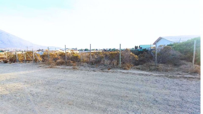 Parcela de Agrado | Pichidangui | los Vilos | 5.000 Mt² | Ro