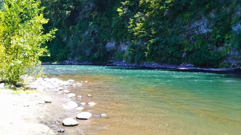 Parcela en Venta Curacautin | Turística | Rol Propio | Orill