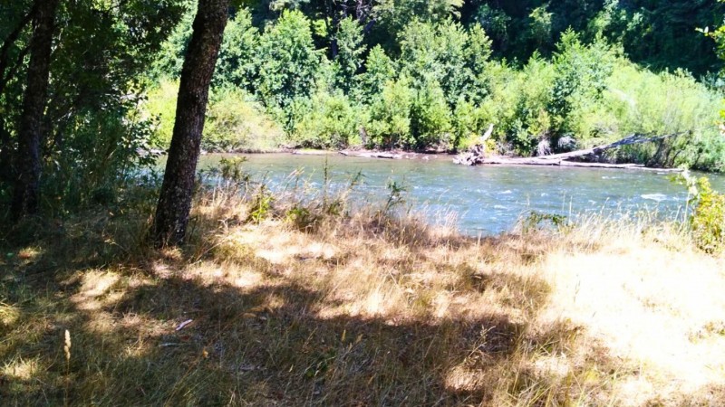 Parcela en Venta Curacautin | Turística | Rol Propio | Orill