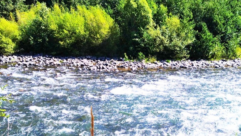 Parcela en Venta Curacautin | Turística | Rol Propio | Orill