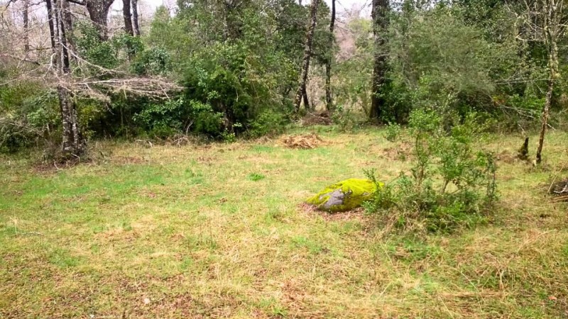 Parcela en Venta Curacautin | Turística | Rol Propio | Orill