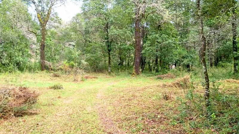 Parcela en Venta Curacautin | Turística | Rol Propio | Orill