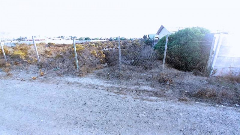 Parcela de Agrado | Pichidangui | los Vilos | 5.000 Mt² | Ro