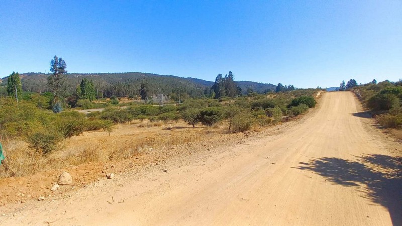 Parcela en Venta Casablanca | 5.000 M² | Rol Propio | Valpar