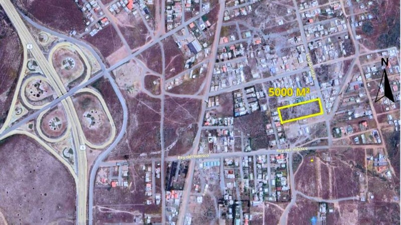 Parcela de Agrado | Pichidangui | los Vilos | 5.000 Mt² | Ro