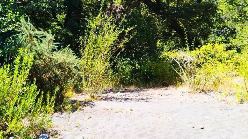 Parcela en Venta Curacautin | Turística | Rol Propio | Orill