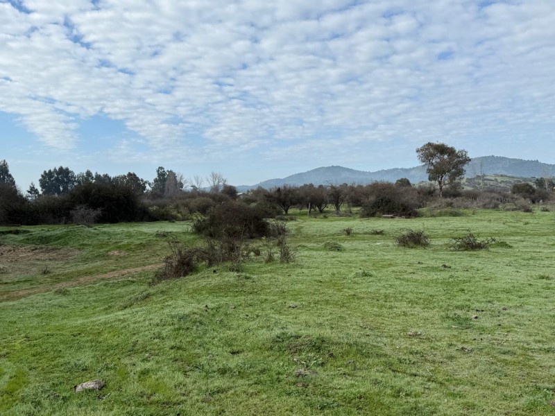 Hermoso Terreno Agricola Loica San Pedro