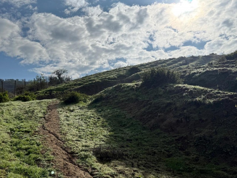 Hermoso Terreno Agricola Loica San Pedro
