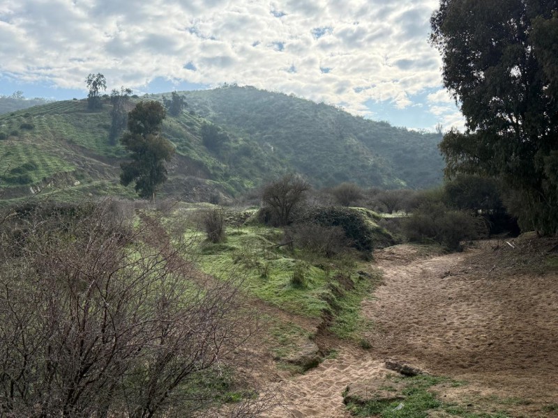 Hermoso Terreno Agricola Loica San Pedro
