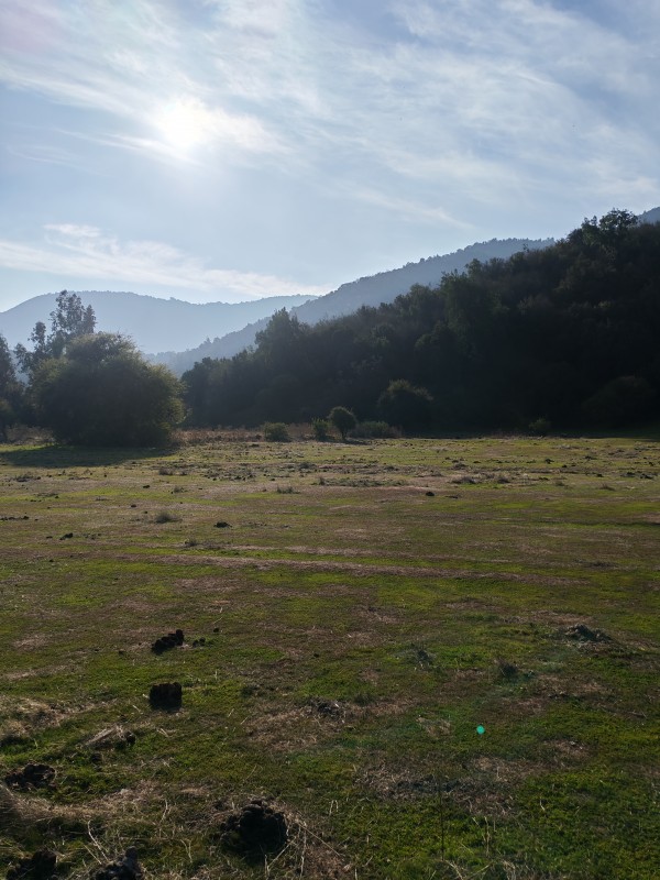 Hermoso Terreno Agricola Alto de Tantehue