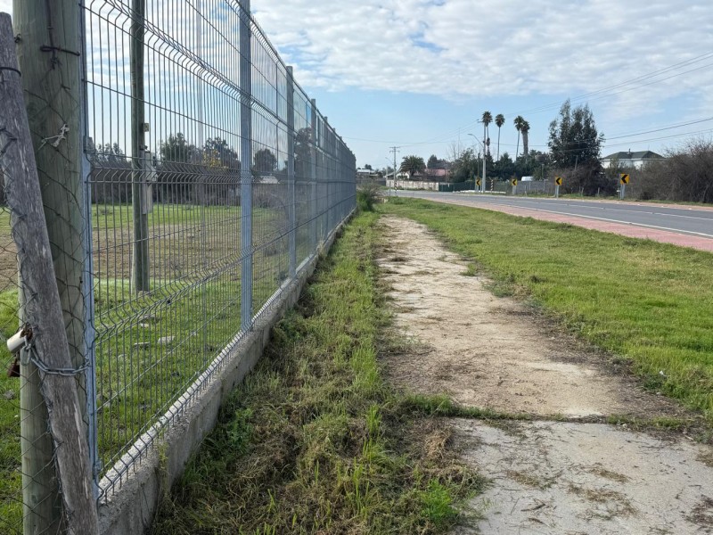 Hermoso Terreno Agricola Loica San Pedro