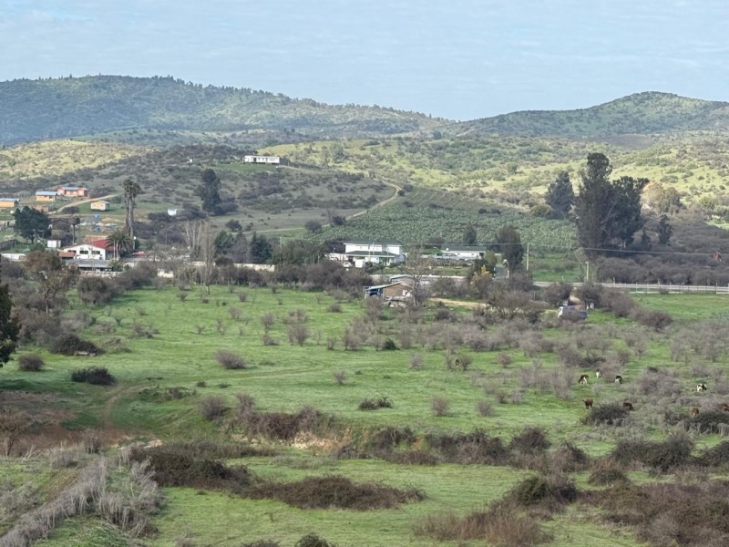Hermoso Terreno Agricola Loica San Pedro