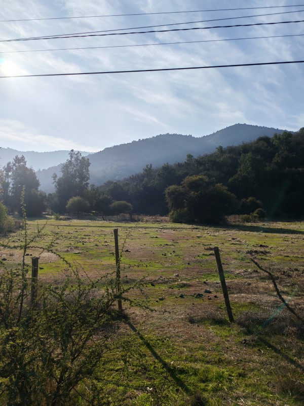 Hermoso Terreno Agricola Alto de Tantehue