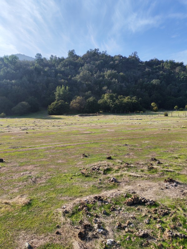 Hermoso Terreno Agricola Alto de Tantehue