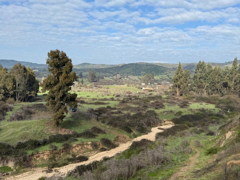 Hermoso Terreno Agricola Loica San Pedro