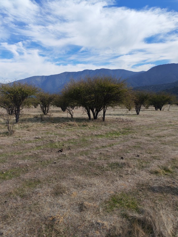 Parcela en Altos de Tantehue