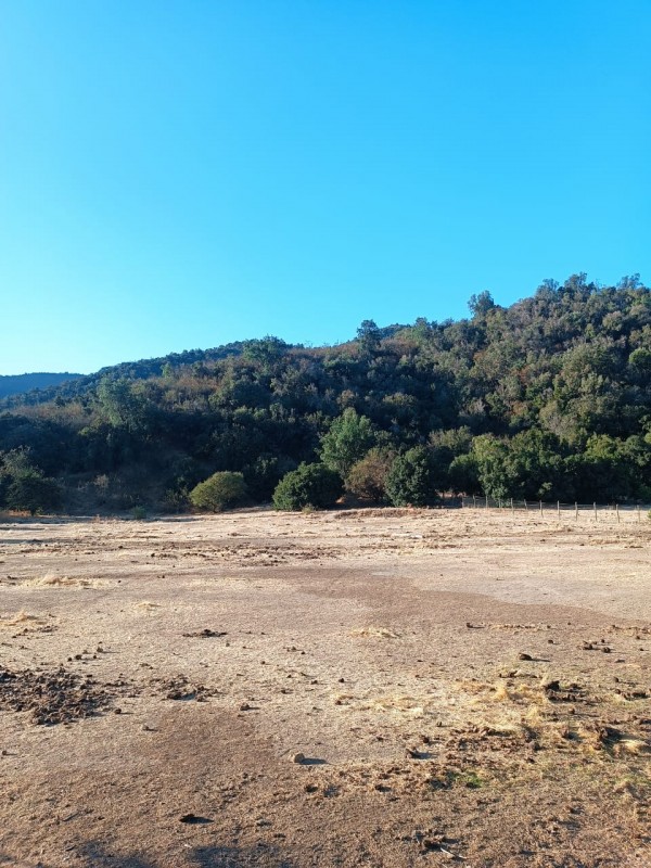 Parcela Altos de Tantehue