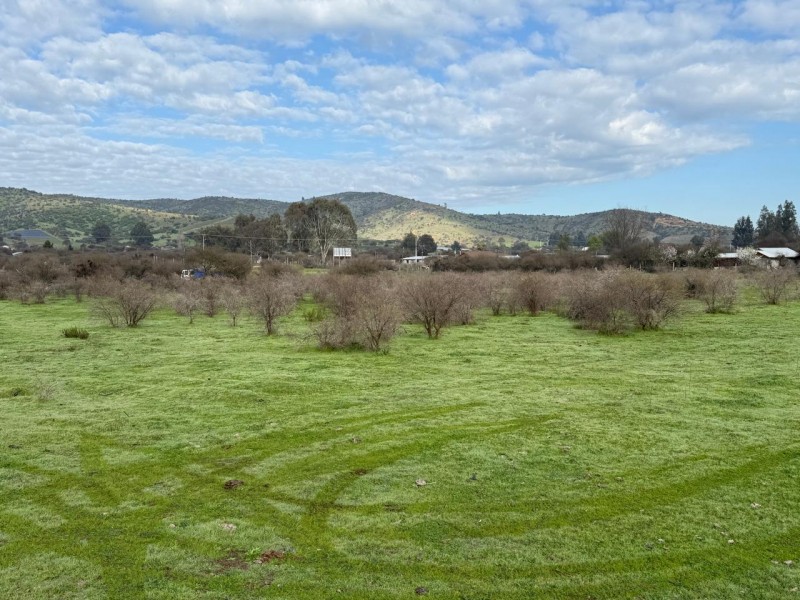 Hermoso Terreno Agricola Loica San Pedro