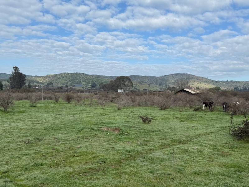 Hermoso Terreno Agricola Loica San Pedro
