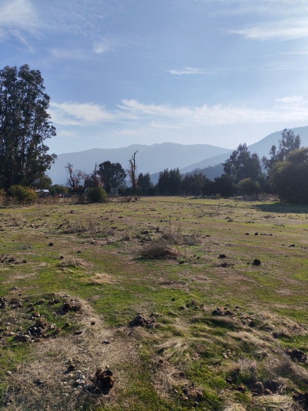Hermoso Terreno Agricola Alto de Tantehue