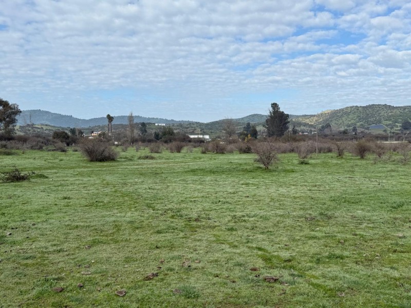 Hermoso Terreno Agricola Loica San Pedro