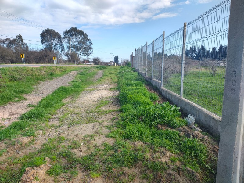 Hermoso Terreno Agricola Loica San Pedro