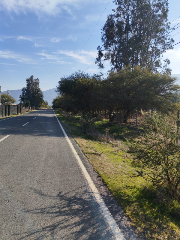 Fotografía de Hermoso Terreno Agricola Alto de Tantehue