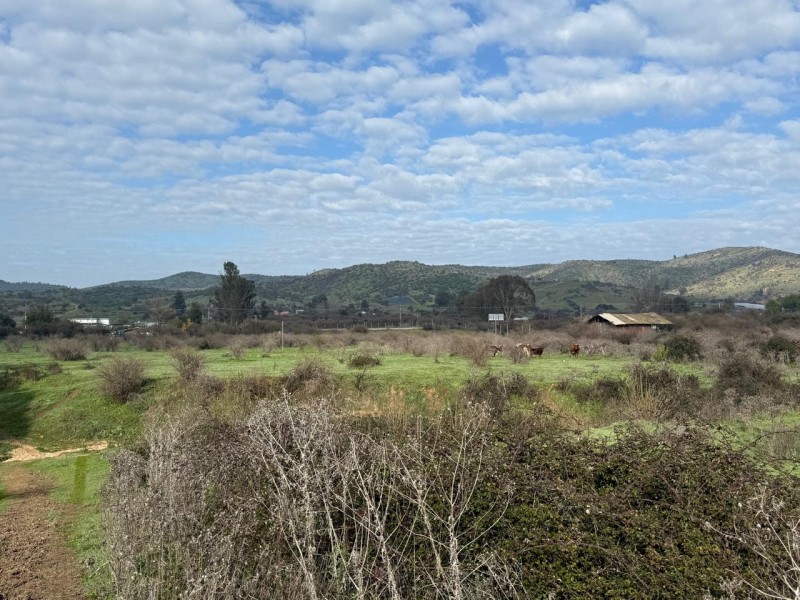 Hermoso Terreno Agricola Loica San Pedro