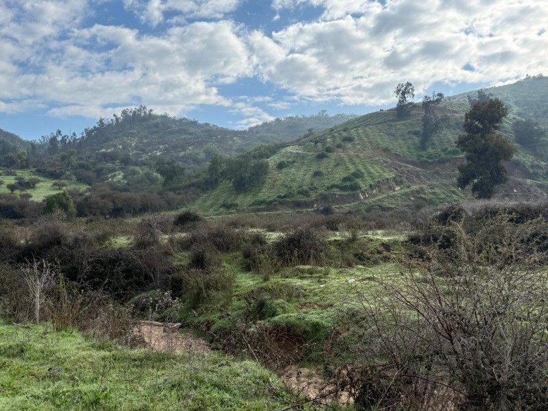Hermoso Terreno Agricola Loica San Pedro