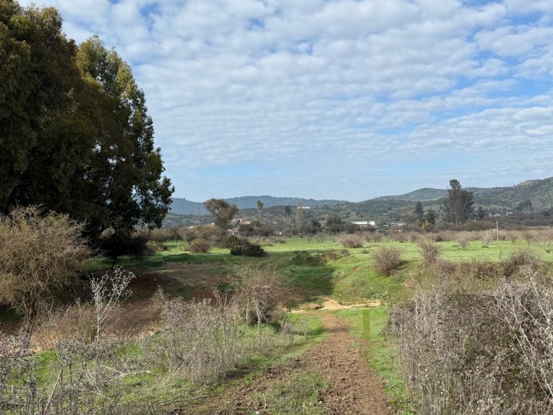 Hermoso Terreno Agricola Loica San Pedro