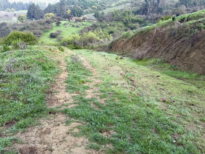Hermoso Terreno Agricola Loica San Pedro
