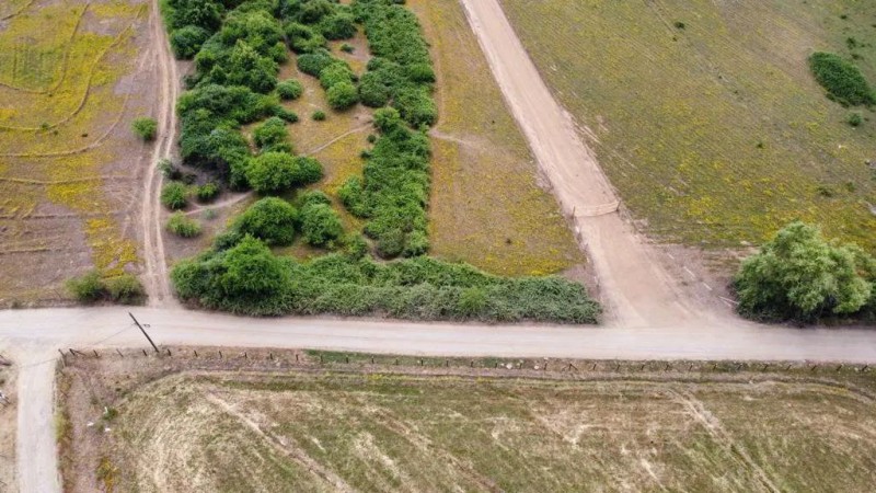 Se Vende Hermosa Parcela en Pelarco.