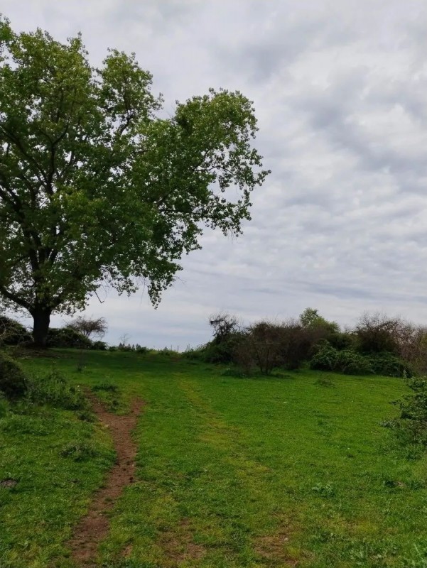 Se Vende Hermosa Parcela en Pelarco.