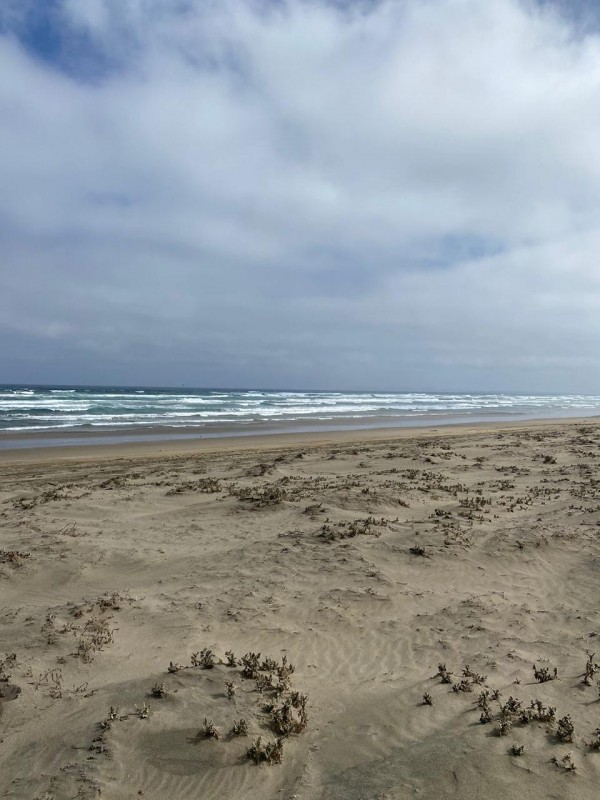 Sitio Primera Línea Playa los Choros