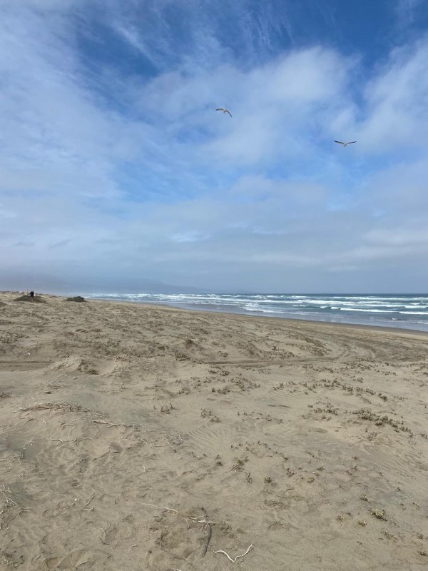 Sitio Primera Línea Playa los Choros