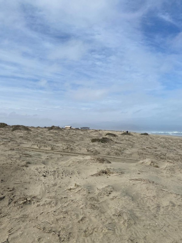 Sitio Primera Línea Playa los Choros
