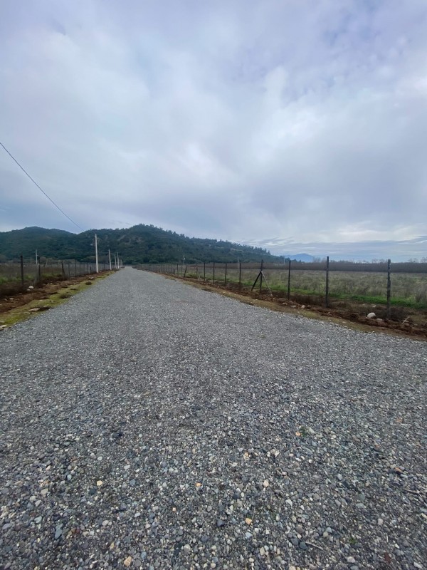 ‼️vendemos‼️ Parcela (Avellanos Zapallar Curico
