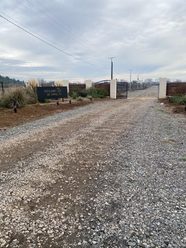 ‼️vendemos‼️ Parcela (Avellanos Zapallar Curico